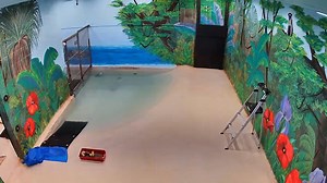 A heartfelt thank you to the talented artists at the Art Factory who brought the indoor area of our hippo habitat to life with this vibrant mural! 🎨🦛💗 Your creativity adds so much character and beauty to the zoo. We can't wait for everyone to enjoy it! | Metro Richmond Zoo