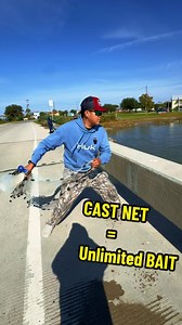 Save Money and Buy a Cast Net!! Having a Cast Net allows you to catch fresh bait and to save money. I recommend a small 5-6ft Cast Net🔥🙌 @hukgear #Anglers #Saltwater #Bridge #Fishing #CastNet #Fishtok #Tutorial #Livebait #Baits | GG Anglers