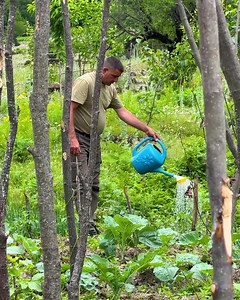 Wild Red Onion Gathering in Mountain Village! Canned Onion Appetizer | Buddy A. Martin