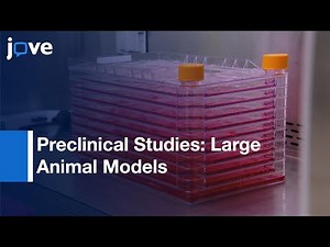 Production Of Adeno-Associated Virus Vectors In Cell Stacks