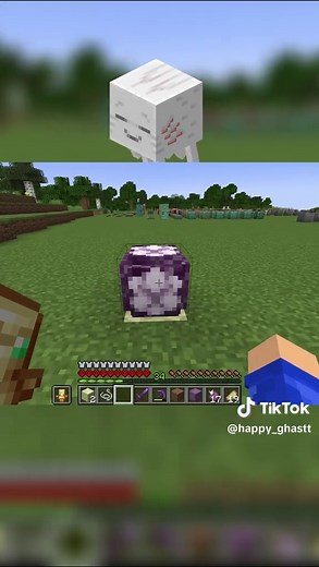 Collecting All Blocks in Minecraft Hardcore in 24 Hours