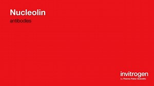 Nucleolin antibodies from Thermo Fisher Scientific