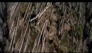 Last radio recording of geologist David A. Johnston just as Mount St. Helens begins to erupt "Vancouver, Vancouver, This is it!"