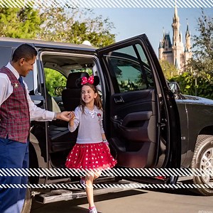 30 reactions | Your very own Tour Guide AND private transportation? You must be a VIP! | Walt Disney World | Facebook