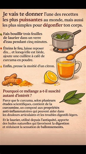 🤯 Laurier + Curcuma : La Boisson Naturelle Qui Aide À Réduire Les Ballonnements 🌿 #conseilssante