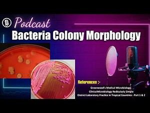 Bacteria Colony Morphology | A Complete Guide Podcast | Listen & Learn