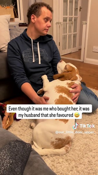 Beagle Puppy Situation: What Would You Do?