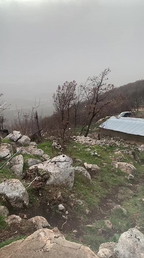 Rustic Landscape with Cozy Fire Scenes