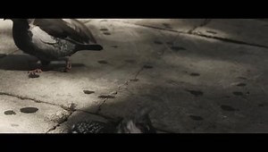 Robbie Williams - 'Go Gentle' - Official Music Video