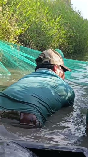 đuổi cá rô phi vào dớn , Bột kít kít tv family