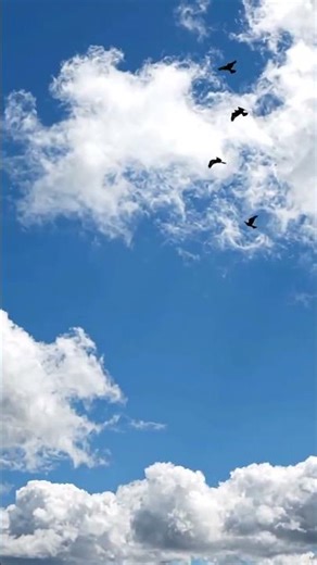 # Ornithologist is about the study of birds and flying high up in the sky