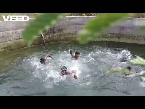 Village Swimming love ❤️‍🔥❤️‍🔥 #swimming #villagelife