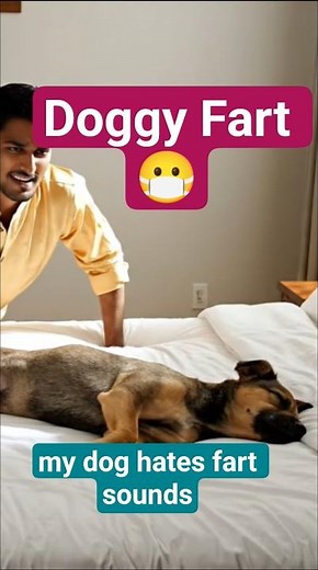 Dog Farts Compilation - Funny Pet Moments #Shorts
