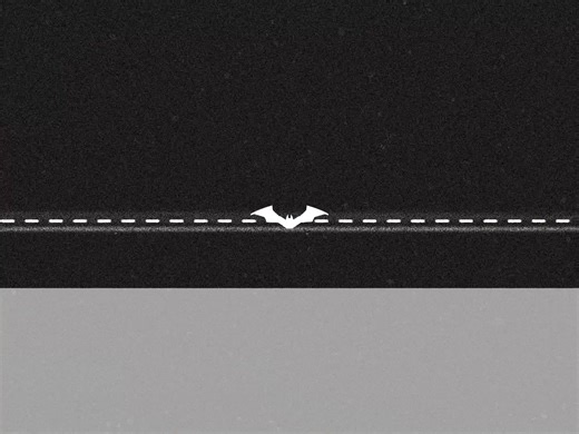 Batman X Drake #batman #drake #foryoupage #fyp #viral | batman