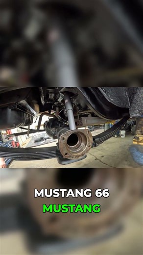 Rear Axle Seals - 1966 Ford Mustang - CSRP Rear Disc Brakes