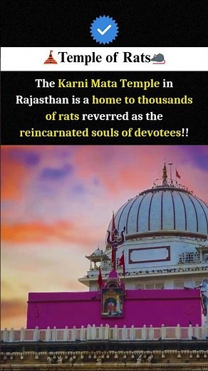 Rajasthan’s Famous Rat Temple: Karni Mata Temple Unveiled