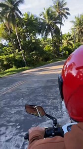 5.2K views · 386 reactions | #blog | Pot Pot | Facebook