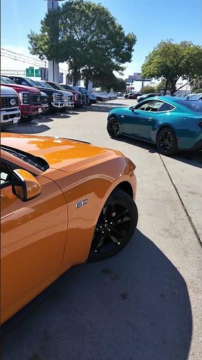 2026 MUSTANG NEW COLORS! -MCCOMBS FORD WEST- ADRIATIC BLUE- ORANGE FURY #ford #fordperformance