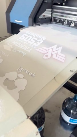 Ducks Not in a Row DTF Transfer, Sarcastic Snarky Humor, Duck Design Ready to Press - Etsy