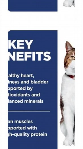 Hill's Science Diet Adult 7+ Senior Cat Food - Premium Nutrition for Mature Cats 6kg