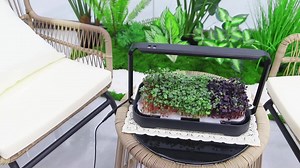 Indoor Small Home Planter Vegetable Hydroponics Growing System Microgreen Grow Kit