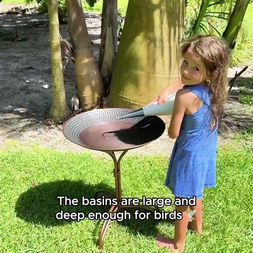 See How Easy it is to Set Up a Good Directions Bird Bath