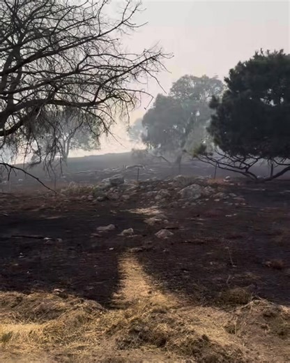 Upper Murray Fires 2026 | Elders