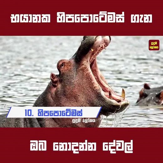 #pudumalokaya #pudumalowa #pudumavideo