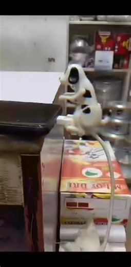 2.7K views · 23 reactions | wabebe tena ������ | Emmah Kemei | Facebook