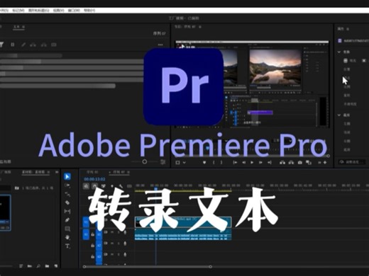 【PR教程】Pr转录文本怎么使用？