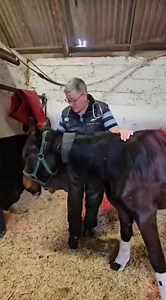 24K views · 1.2K reactions | Leanbh We have many obstacles ahead of us to get this girl back to healthOur amazing vet, John Drum, came out again today to check on Leanbh as her last blood test showed the markers for her liver and kidney function were elevated. He took more bloods to see if there has been any change. Please keep our girl in your thoughts and please donate towards her care ❤️ https://donate.mylovelyhorserescue.com/one-off/ | My Lovely Horse Rescue | Facebook