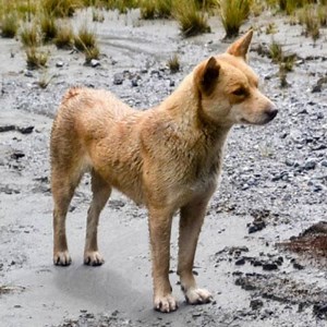 This is wild. | George Takei