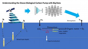 Understanding the ocean biological carbon pump with big data - Duke Rhodes iiD