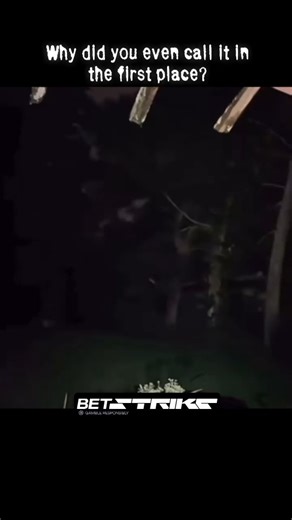 14K views · 408 reactions |  If you like unknown mysteries: ⤵️  We...