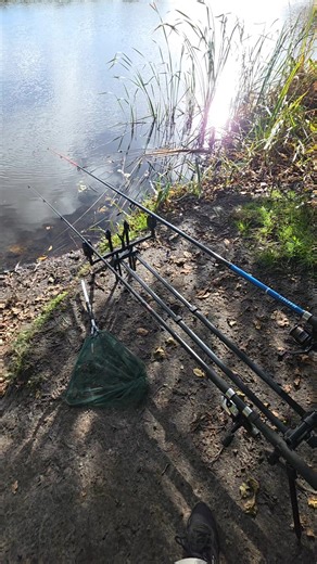 Ultimate Guide to Fish Wending Strategies