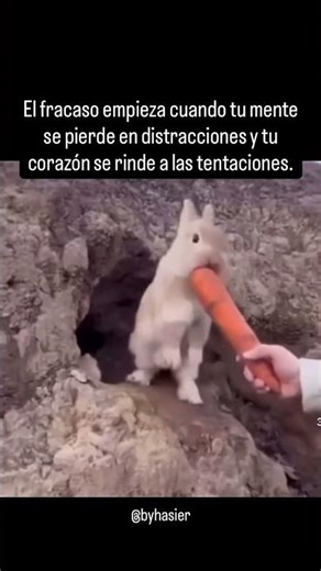 Nadie arruina su vida de golpe. #motivacion #mentalidad #avanzar