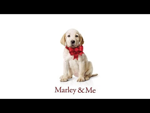 Marley & Me | Heading Home