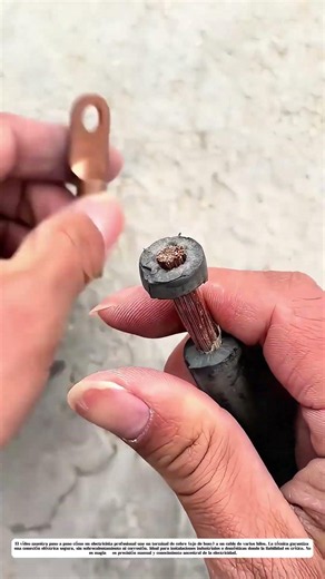 Conexión que no falla: Cómo un terminal de cobre y cable se unen para durar décadas