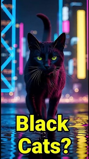 Your Cat’s Color is a Secret Map 🧬🐈