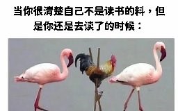 炸裂合唱！VUP双人翻唱明日方舟渊默行动主题曲《Operation Deepness》