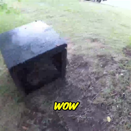 Using a powerful magnet, I reel in a heavy, locked box from the depths of a river. After struggling to get it ashore, we crack it open and find a surprise inside! Was it worth the effort? #magnetfishing #treasure #riverfinds #mysterybox #outdoors #fishing | The Fisher