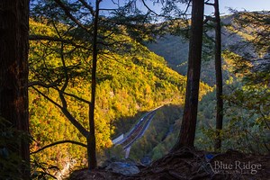 Buzzard’s Roost North Carolina