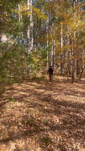 Some listings are more than land—they’re decades of memories. Yesterday we walked a beautiful property that’s been loved for almost 40 years. We are honored to help this family through the selling process . ❤️ Venture Realty Group Carey 870–283-2538 📲 Colby 870-283-2153 📲 www.venturerealtygroup.net Office: 870-805-4548 | Carey Markum