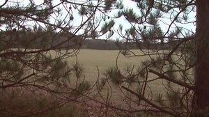 Opening day is considered 'deer day' at some area schools