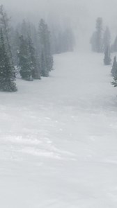 LAST CHANCE! Get your season pass before April 24th. We're here to ski, not stand in line. | Powder Mountain | Facebook