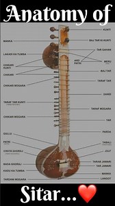 Anatomy of Sitar | Parts of Sitar | Sitar Basic Tutorial #shorts #youtubeshorts #reels