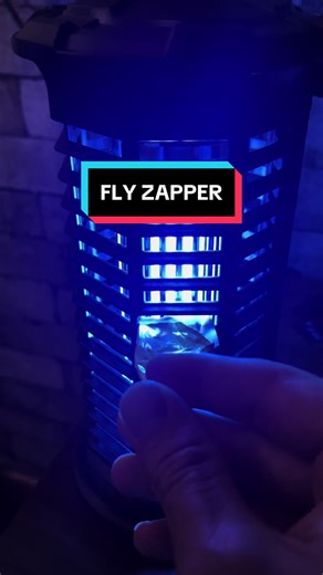 Say Goodbye to Annoying Flies with This Powerful Bug Zapper