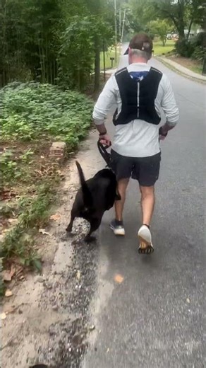 Your Dog's Behavior Out of Control? Here's Your Roadmap | Behavior SOS Masterclass