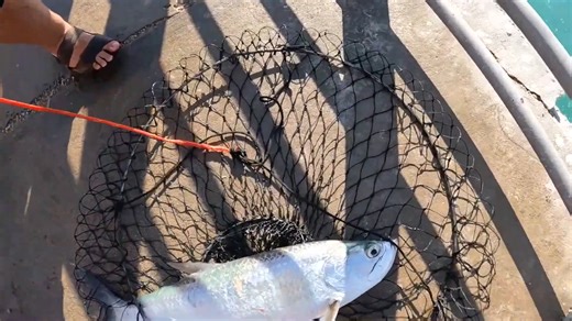 Watch what happens when we fish the inlet during a skim board contest