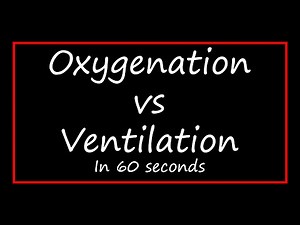 Oxygen vs. Ventilation: Understanding the Key Differences for Healthcare Professionals